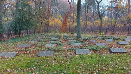 Erinnerungen bewahren: Schülerinnen und Schüler des Gregor-Mendel-Berufskollegs pflegen Kriegsgräber der Kriegsgräberstätte „Auf dem Dörenkamp“ in Sennelager